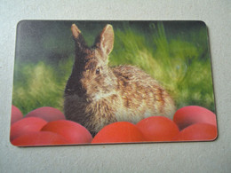 ROMANIA   USED CARDS   ANIMALS RABBIT - Conejos