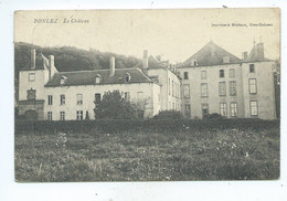 Bonlez Le Château ( Vue Sans Les Barbelés à L'avant Plan ) - Chaumont-Gistoux