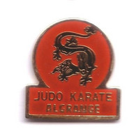 C119 Pin's Judo Karaté Algrange Moselle Achat Immédiat - Judo