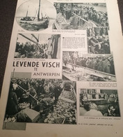 VISSERIJ.1934. LEVENDE VISCH TE ANTWERPEN / DE SLOEP MET VOLLE BUIT LEGT AAN/EUGEEN VAN MARCKE OPRICHTER  ZEEVISCH CEN - Pêche