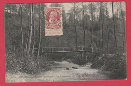 Roisin - Le Caillou Qui Bique - La Passerelle - 1907 ( Voir Verso ) - Honnelles