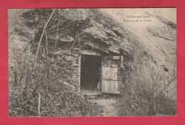 Roisin - Caillou Qui Bique - L'Entrée De La Grotte - 1923 ( Voir Verso  ) - Honnelles