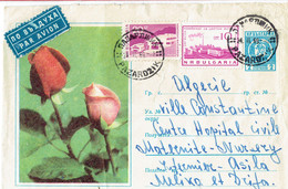 Rose Roses Sur Devant De Lettre De Pazardzik Vers L'Algérie (24/11/1969) - Autres & Non Classés