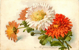 Catharina KLEIN * Illustrateur * Fleurs Flowers Flower Fleur - Klein, Catharina