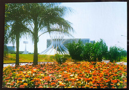 Brazil Postcard Cartao Postal Brasilia Flores - Brasilia