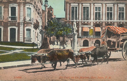 Puerto Rico Ox Cart On La Marina San Juan In Front Of The American Commercial Bank  Attelage De 4 Boeufs . - Puerto Rico