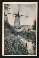 HUISE  DE MOLEN EN OMGEVING - Zingem