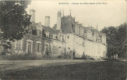 MONNAIE - Château Des Belles Ruries (côté Sud). - Monnaie