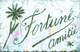 Fortuné * Cpa * Prénom Name * Amitié Souvenir * Paillettes * FORTUNE - Nomi