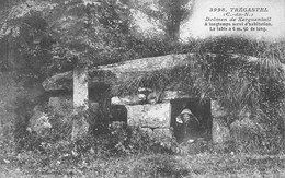 A-20-7495 : LE DOLMEN  DE TREGASTEL - Dolmen & Menhirs