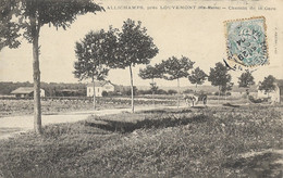 ALLICHAMPS, Près LOUVEMONT - Chemin De La Gare - Autres Communes