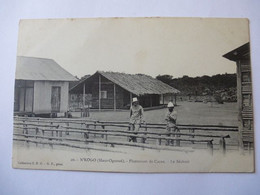 GABON : HAUT-OGOOUE  - N'KOGO Le Déchoir De La Plantation De CACAO - Vers 1905-1910  ? - Missions