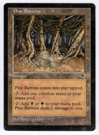 MAGIC The GATHERING  "PINE BARRENS"---TEMPEST (MTG-5-9) - Terrains