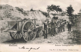 Hattem Entrée Leemgroeven Paard En Wagen 164 - Hattem