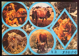 FAUNE AFRICAINE - GAMBIA Vg Nice Stamps - Gambia