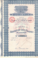 Action De 100 Frcs Au Porteur - Compagnie Générale Des Comptoirs Africains C.G.C.A. - Paris 1930. - Africa
