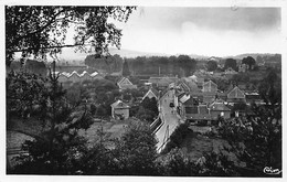 Noailles           60          Vue Générale  - 1952      (voir Scan) - Noailles