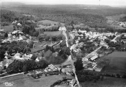 70-LOULANS-LES-FROGES- VUE PANORAMIQUE AERIENNE AU FOND LE CHATEAU - Autres & Non Classés