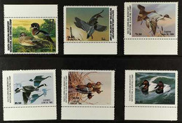 BIRDS USA - SOUTH CAROLINA - STATE HUNTING PERMIT STAMPS 1981-1986 Duck Stamps Complete Run, Scott 1/6, superb Never Hin - Unclassified