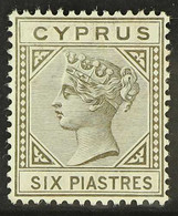 1892-94 6pi Olive-grey Die II, SG 36, Very Fine Mint. For More Images, Please Visit Http://www.sandafayre.com/itemdetail - Andere & Zonder Classificatie