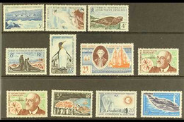 T.A.A.F 1956-66 MINT / NHM ASSEMBLY Presented On A Stock Card. Includes 1959-63 Fauna Range To A Nhm 85f, 1959 Tremarec  - Autres & Non Classés