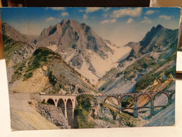 Cartolina Carrara  Cave E I Ponti Di Vara Timbro  Rifugio Belvedere Campocecina 1968 - Carrara