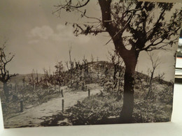 Cartolina  Tefik Mborja  Zona Sacra Di Quota 731 Albania - Albanie