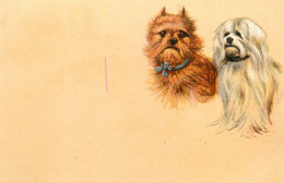 Chiens De Race ? * CPA Illustrateur * Thème Chien Dog Dogs - Dogs