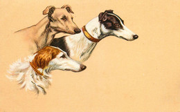Chiens De Race Lévriers ? * CPA Illustrateur * Thème Chien Dog Dogs Lévrier - Dogs