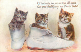 Chats * Série De 3 CPA Illustrateur * Oilette * Raphael Tuck & Sons * Cartland Série III * Chat Cat Cats Katze - Cats