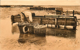 Châtelaillon * Aux Boucholeurs * Réservoir D'huîtres - Châtelaillon-Plage