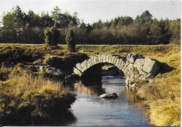 Felletin (environs) - Vallée De La Creuse , Pont Gallo-romain - Felletin