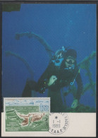 TAAF - OISEAU - PLONGEE SOUS MARINE/ 1989 CARTE MAXIMUM PREMIER JOUR DU # 146 - FDC (ref CM267) - Diving