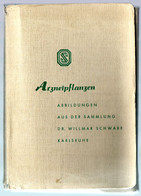 E4043 - Dr. Willmar Schwabe Karlsruhe - Arzneipflanzen - Kompl. Mappe 32 Künstlerkarte - F.A. Herbig Berlin Grunewald - Piante Medicinali