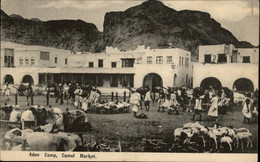 YEMEN - ADEN - Camel Market - Marché Aux Chameaux - Yémen