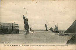 Ile D'oléron * Le Château * Barques D'ostréiculteurs Revenant Des Concessions Au Port - Ile D'Oléron