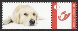 DUOSTAMP** / MYSTAMP** - Chien  / Hond / Hund / Dog - Labrador - Postfris