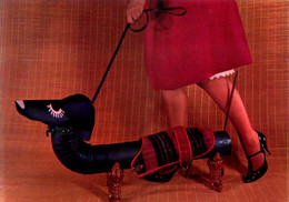 Femme Et Son Teckel * Dachshund * Chien Dog - Dogs