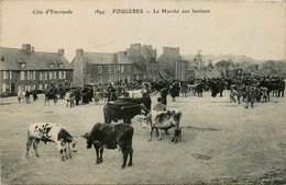 Fougères * Le Marché Aux Bestiaux * Foire * Place De La Commune - Fougeres