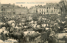 Châteaubriand * La Place De La Motte Un Jour De Marché * Foire Aux Bestiaux - Châteaubriant