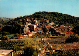 La Gaude * Vue Sur La Basse Gaude * Village Hameau - Autres & Non Classés