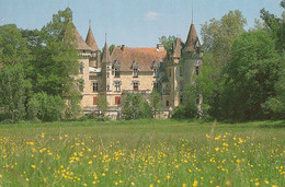 VERTEUIL D'AGENAIS. - Château De Roquepiquet - Otros & Sin Clasificación