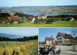 MAMMERN TG Restaurant Klingenzellerhof Blick Auf Untersee Und Stein Am Rhein - Mammern