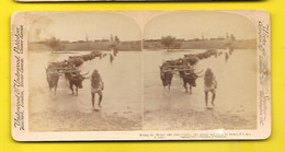 South Africa Fording The Molder With Army Supplies After Passage Was Forces By French - Stereo-Photographie