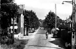 St Jean De Monts * Avenue Des Tilleuls * Automobile Voiture Ancienne - Saint Jean De Monts