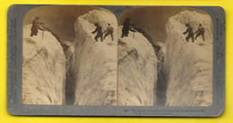 The Ascent Of Jungfrau Crossing The Glacier 1897 Suisse - Stereo-Photographie
