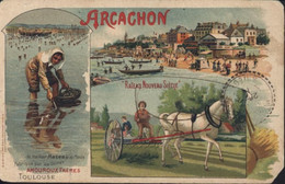 CPA Publicitaire Agriculture Amouroux Frères Toulouse Arcachon Râteau Nouveau Siècle - Advertising