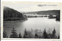 - 1483 -   WAIMES OVIFAT Le Lac Du Barrage - Waimes - Weismes