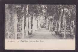 CPA Maurice Mauritius Non Circulé - Maurice