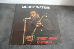 Disque De Muddy Waters - Sweet Home Chicago - Astan 20027 - Germany 1984 - Blues